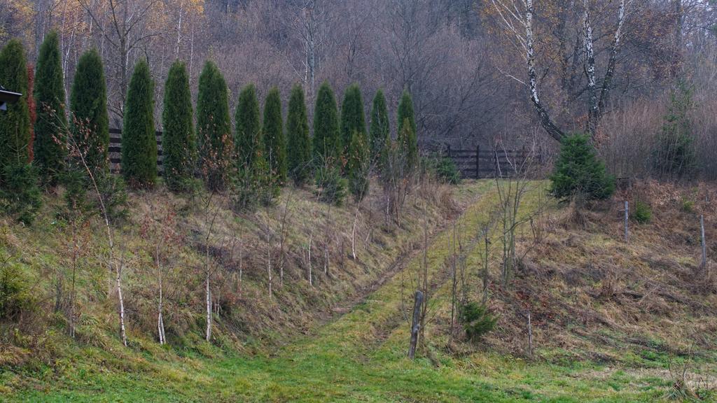 Pensiunea Steaua Nordului Vanatori  Exterior foto