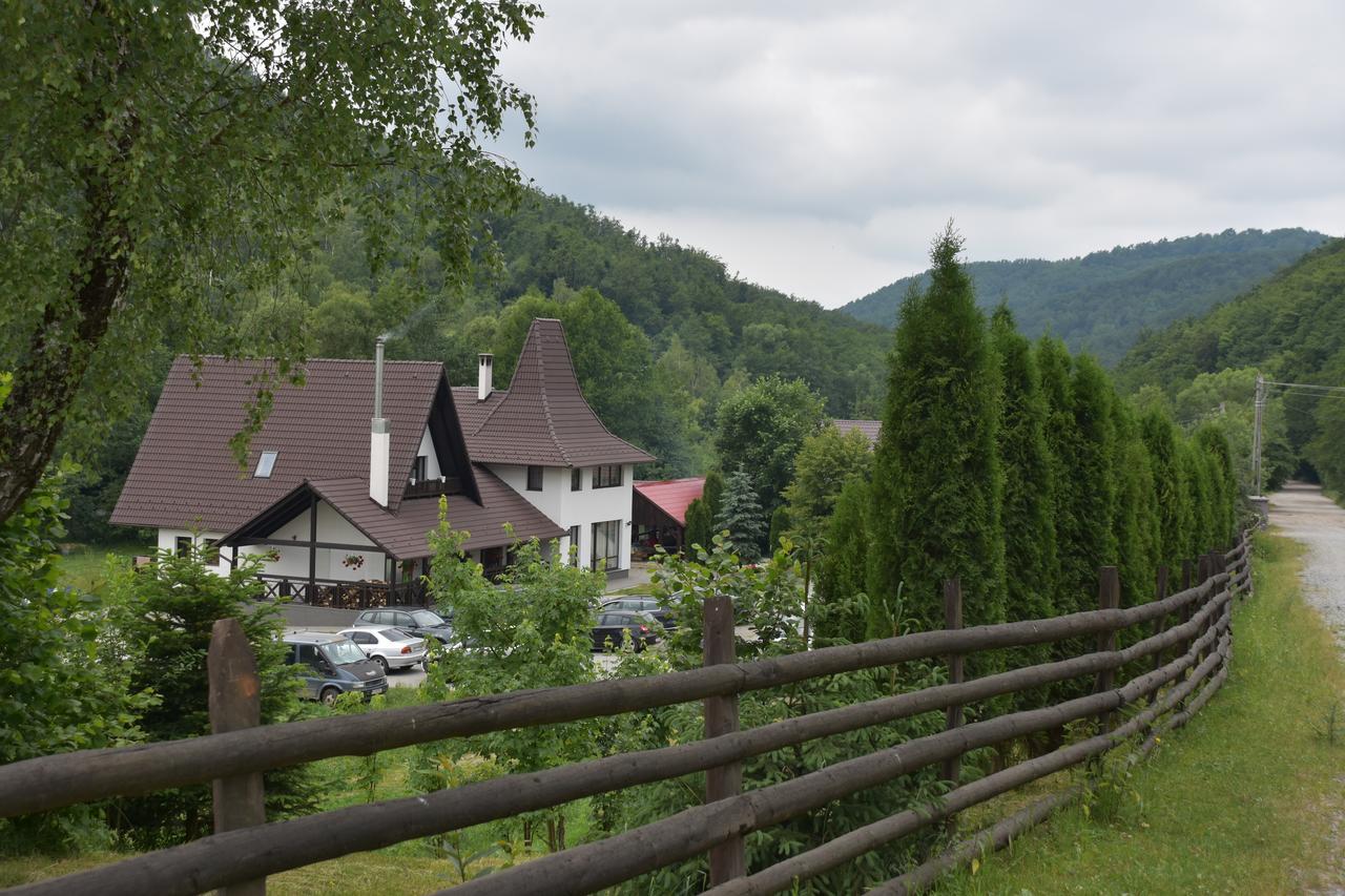 Pensiunea Steaua Nordului Vanatori  Exterior foto