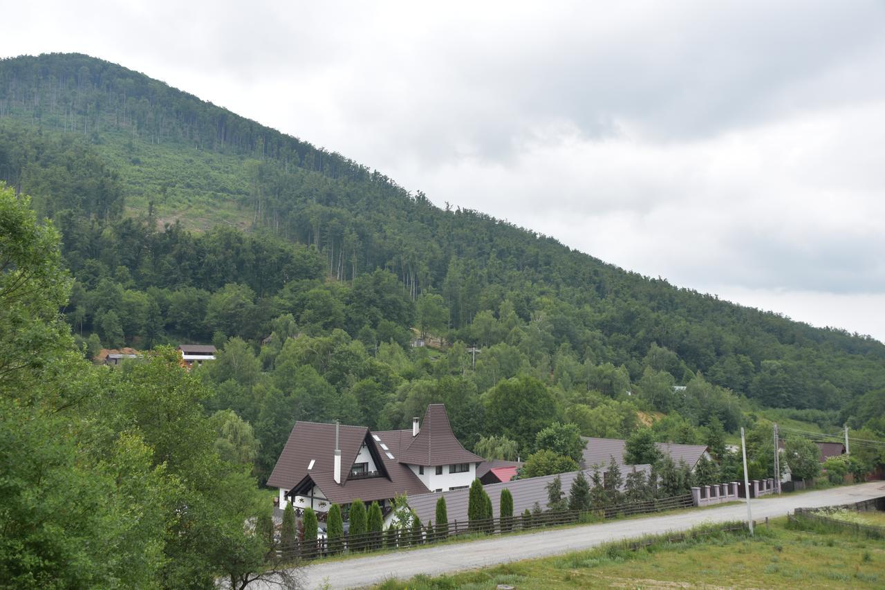 Pensiunea Steaua Nordului Vanatori  Exterior foto
